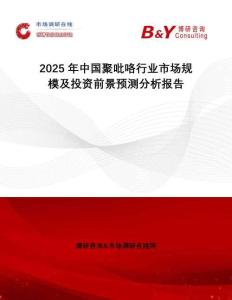 2025年中國聚吡咯行業市場規模及投資前景預測分析報告