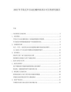 2025年手持式半自動(dòng)打螺絲機(jī)項(xiàng)目可行性研究報(bào)告