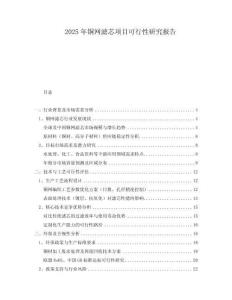 2025年銅網濾芯項目可行性研究報告