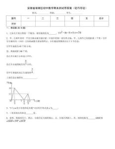 安徽省瑯琊區(qū)初中數(shù)學期末測試帶答案（輕巧奪冠）