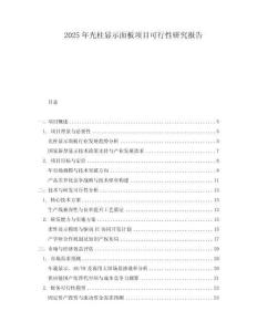 2025年光柱顯示面板項目可行性研究報告