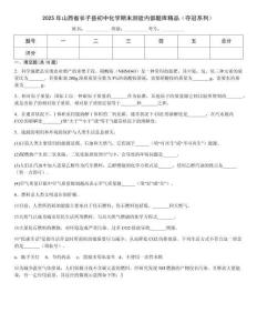 2025年山西省長子縣初中化學期末測驗內部題庫精品（奪冠系列）