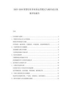2025-2030智慧燈桿多業務運營模式與城市試點效果評估報告