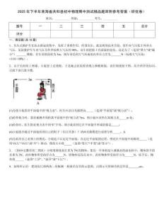 2025年下半年青海省共和縣初中物理期中測試精品題庫附參考答案（研優卷）