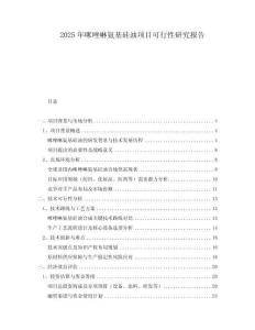 2025年咪唑啉氨基硅油項(xiàng)目可行性研究報(bào)告