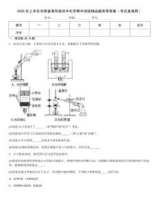 2025年上半年河南省淮陽縣初中化學期中測驗精品題庫帶答案（考試直接用）