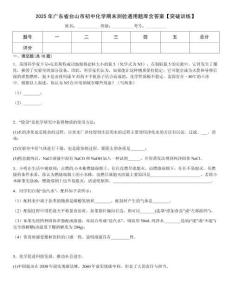 2025年廣東省臺山市初中化學(xué)期末測驗(yàn)通用題庫含答案【突破訓(xùn)練】