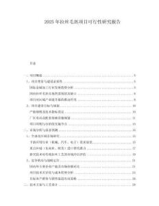 2025年拉絲毛坯項目可行性研究報告