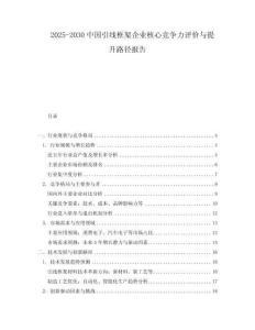 2025-2030中國引線框架企業核心競爭力評價與提升路徑報告