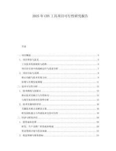2025年CBN工具項(xiàng)目可行性研究報(bào)告