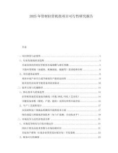 2025年管材拉管機(jī)組項(xiàng)目可行性研究報(bào)告