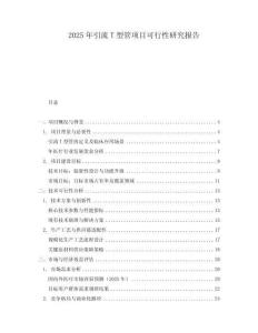 2025年引流T型管項(xiàng)目可行性研究報(bào)告
