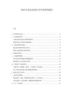 2025年雙孔扣項(xiàng)目可行性研究報(bào)告