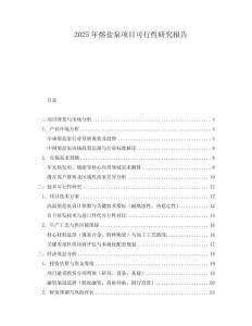 2025年熔鹽泵項目可行性研究報告