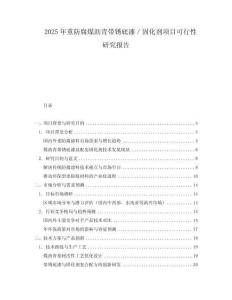 2025年重防腐煤瀝青帶銹底漆／固化劑項目可行性研究報告