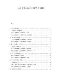2025年軟化器項(xiàng)目可行性研究報(bào)告