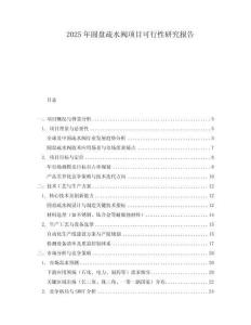 2025年圓盤疏水閥項(xiàng)目可行性研究報(bào)告