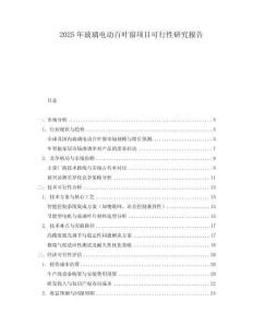 2025年玻璃電動百葉窗項(xiàng)目可行性研究報(bào)告