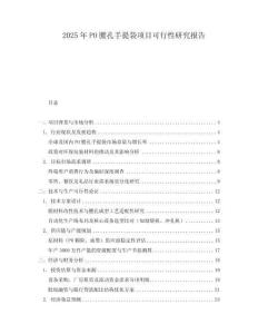 2025年P(guān)O腰孔手提袋項目可行性研究報告