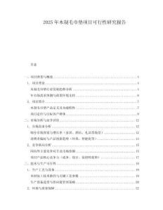 2025年木制毛巾墊項目可行性研究報告