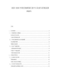 2025-2030中國引線框架行業(yè)中小企業(yè)生存狀況調(diào)查報告