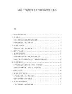 2025年氣動扭矩扳手項目可行性研究報告