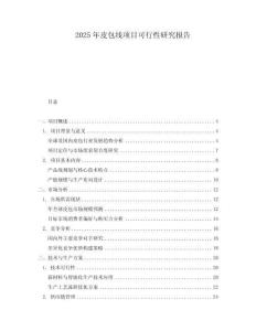 2025年皮包線項(xiàng)目可行性研究報(bào)告