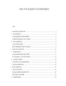 2025年單支線項(xiàng)目可行性研究報(bào)告