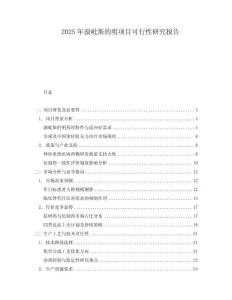 2025年溴吡斯的明項(xiàng)目可行性研究報(bào)告