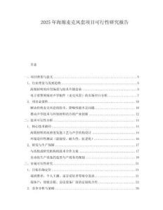 2025年海綿麥克風套項目可行性研究報告