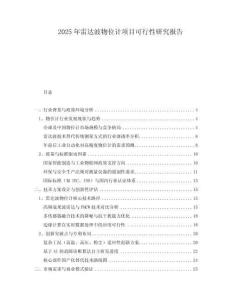 2025年雷達波物位計項目可行性研究報告