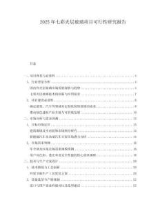 2025年七彩夾層玻璃項(xiàng)目可行性研究報(bào)告