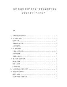 2025至2030中國白水皮艇行業市場深度研究及發展前景投資可行性分析報告