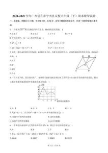 2024-2025學年廣西崇左市寧明縣某校八年級（下）期末數學試卷（含答案）