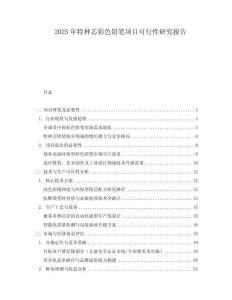 2025年特種芯彩色鉛筆項目可行性研究報告
