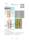 20250811頸椎病的調(diào)理