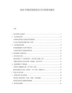 2025年鋼芯鋁線項(xiàng)目可行性研究報(bào)告