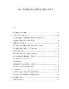 2025年打樁泥鉆頭項目可行性研究報告