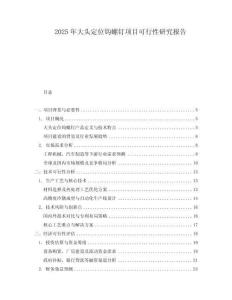 2025年大頭定位鉤螺釘項(xiàng)目可行性研究報(bào)告