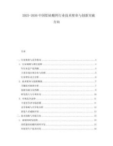 2025-2030中國(guó)鋁硅酸鈣行業(yè)技術(shù)壁壘與創(chuàng)新突破方向