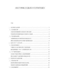2025年塑柄刀叉匙項目可行性研究報告