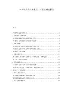 2025年貢菜剁辣椒項(xiàng)目可行性研究報(bào)告