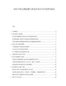2025年臥式燃油燃?xì)鉄崴疇t項(xiàng)目可行性研究報(bào)告