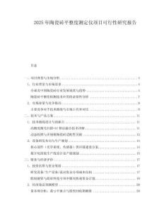 2025年陶瓷磚平整度測定儀項目可行性研究報告