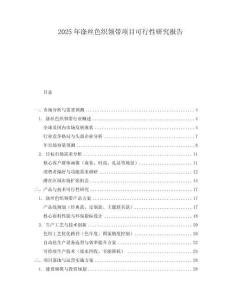 2025年滌絲色織領(lǐng)帶項(xiàng)目可行性研究報(bào)告