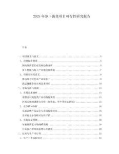 2025年蘿卜醬菜項目可行性研究報告