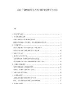2025年調(diào)頻圓極化天線項(xiàng)目可行性研究報(bào)告