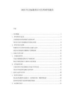 2025年點標旗項目可行性研究報告