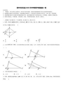 晉中市靈石縣2025年中考數(shù)學(xué)考前最后一卷含解析