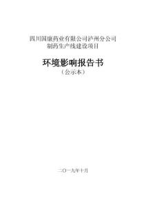 四川國康藥業有限公司瀘州分公司制藥生產線建設項目環境影響報告書